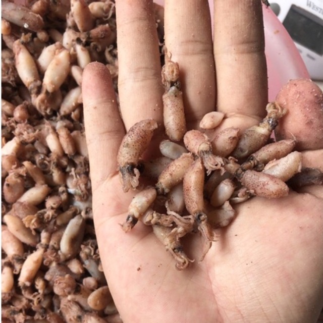 

BABY CUMI 1Kg 1000gram