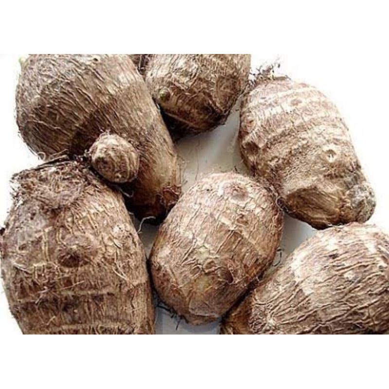 

Ubi Talas / Mbote 1 kg