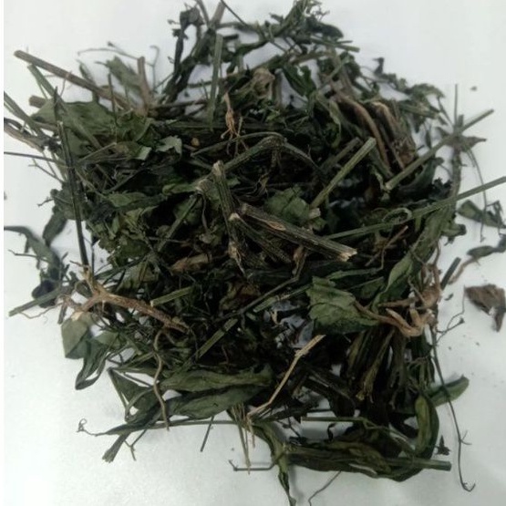 

sambiloto kering organik