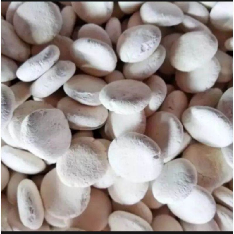 

RAGI TAPE KETAN/SINGKONG SUPER ISI 10 pcs/PAC