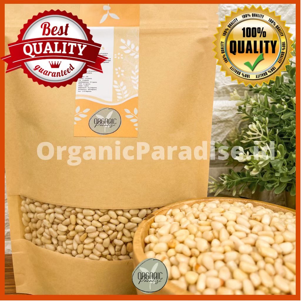 

Raw Pine Nut 500 gram / Kacang Pinus Mentah 500 gram Premium Quality