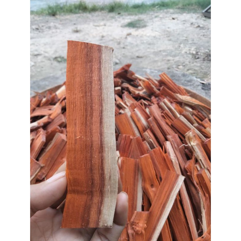 

kayu secang