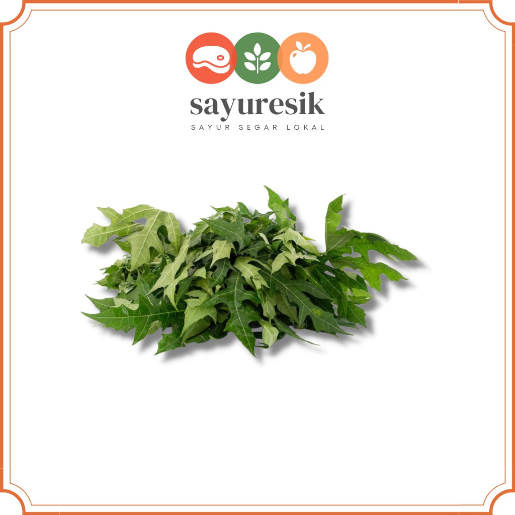 

[Pasar Kota Gresik] Daun Pepaya