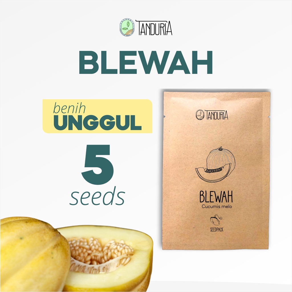BELEWA
