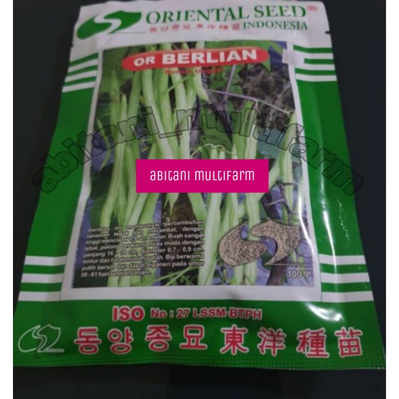 BIBIT - BUNCIS BERLIAN ORIENTAL SEED - 100 GRAM