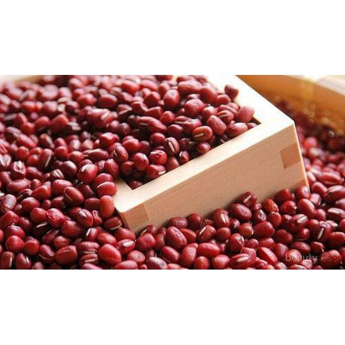 Kacang Merah Kecil Kacang Merah Adzuki Kacang Merah Jogo Red Beans 500 gr