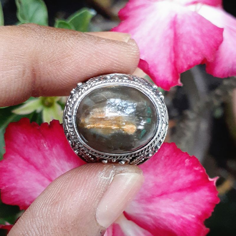 Batu Fosil Kayu Sungkai Motif Gambar Sendok Kristal