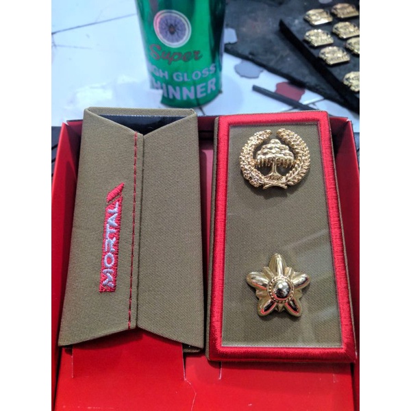 PANGKAT ASN LAMPUNG BENGKULU 4A