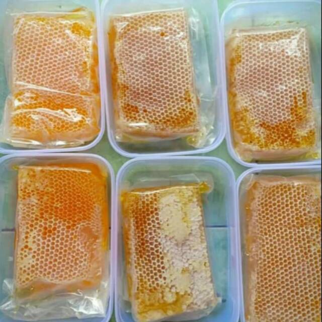 

Sarang madu asli MELIFERA