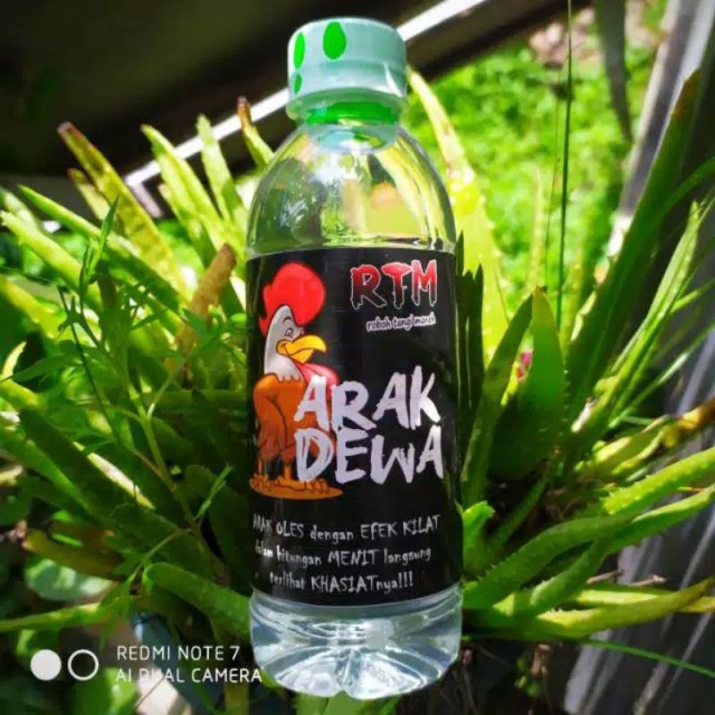 Arak Dewa Rtm Obat Luka Ayam Bangkok Pasca Tarung Laga Mempercepat Penyembuhan Luka Pukul