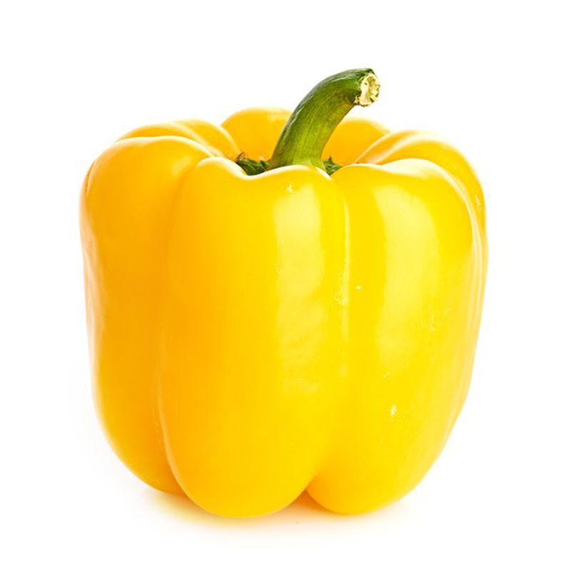 Benih Bibit Biji - Paprika Kuning Yellow Golden Star Sweet Bell Pepper F1 Hibrida Seeds