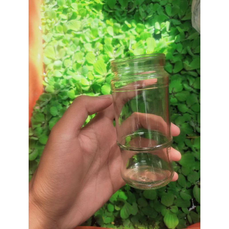 Botol kaca / Botol nescafe / Botol vas bunga / botol ikan cupang / botol kaca 220ml (Tanpa tutup)