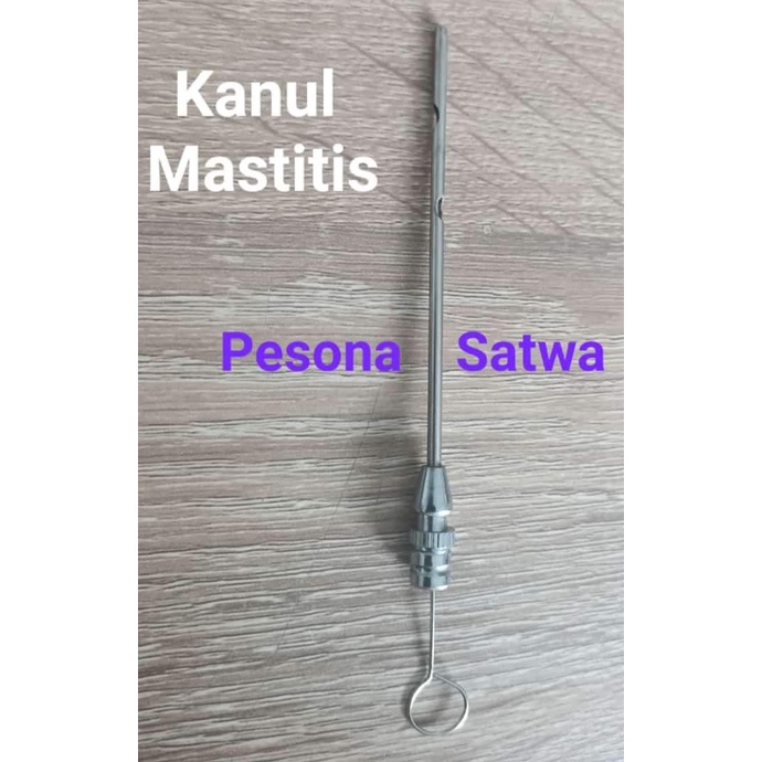 Kanul Mastitis -Udder Catheter, Canul Mastitis, Milk Kateter-