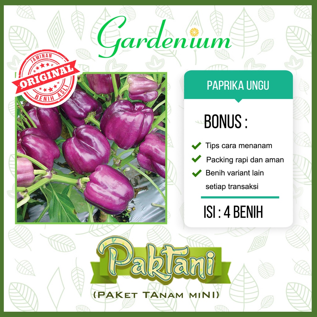 Jual Benih Paprika Ungu Purple Star Sayuran Unggul Paktani Shopee