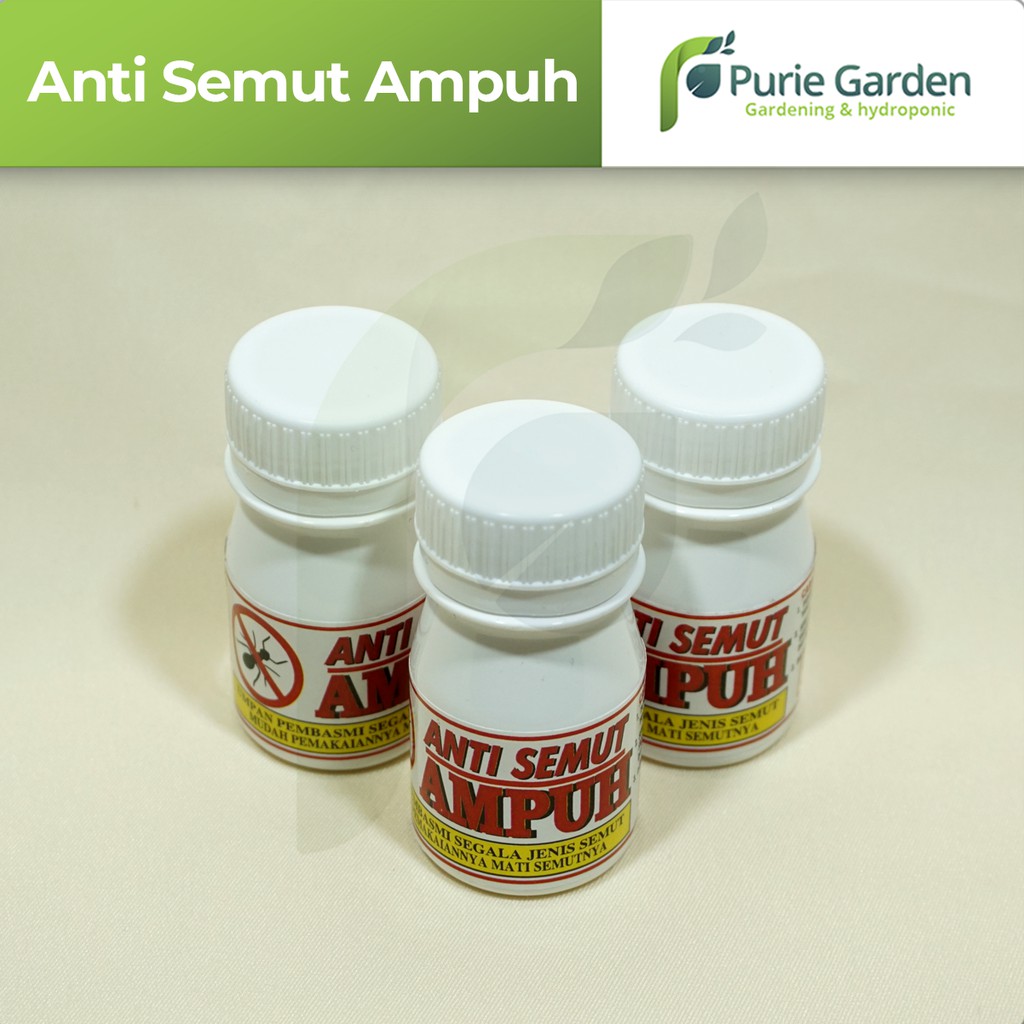 Racun/Obat Pembasmi Anti Semut Ampuh PG SBY