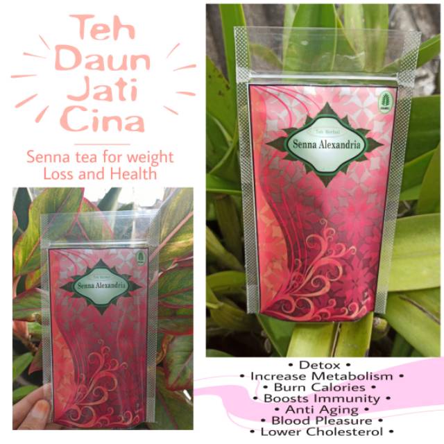 

Teh Daun Jati Cina