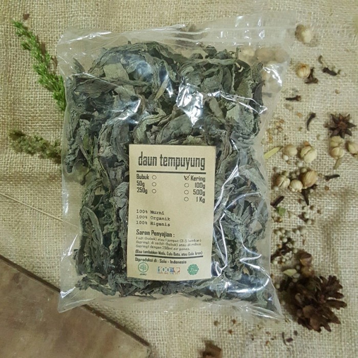 

DAUN TEMPUYUNG KERING 100 gr - Sonchus Arvensis - MURNI - JSR -