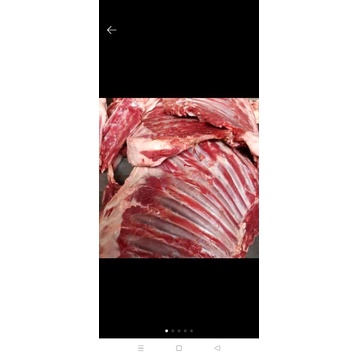 

iga kambing fresh