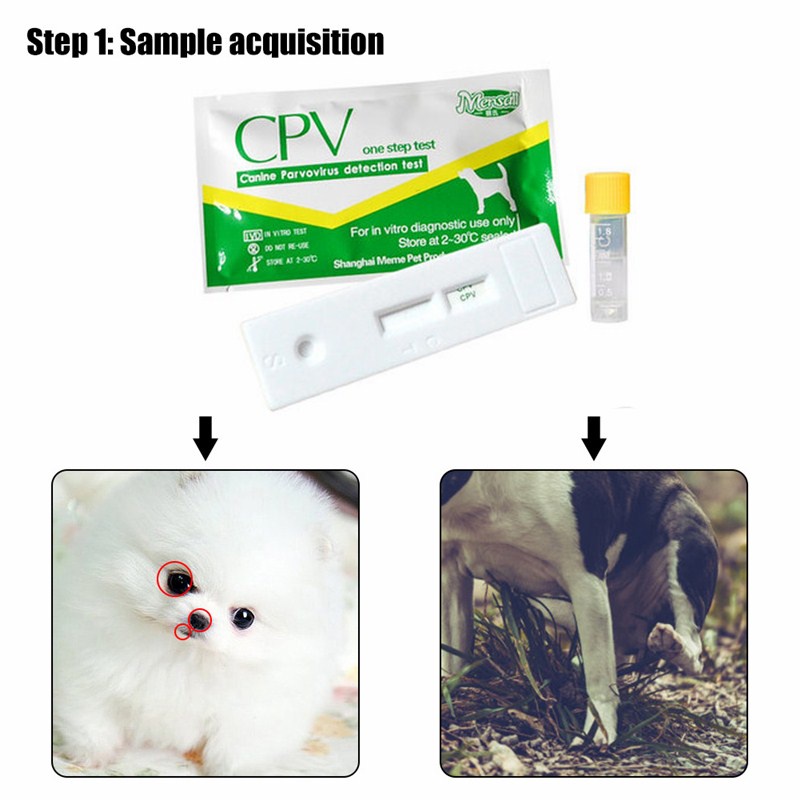 CPV FPV Kertas Tester / Uji Deteksi Parvo Virus Parvovirus Untuk Anjing Kucing
