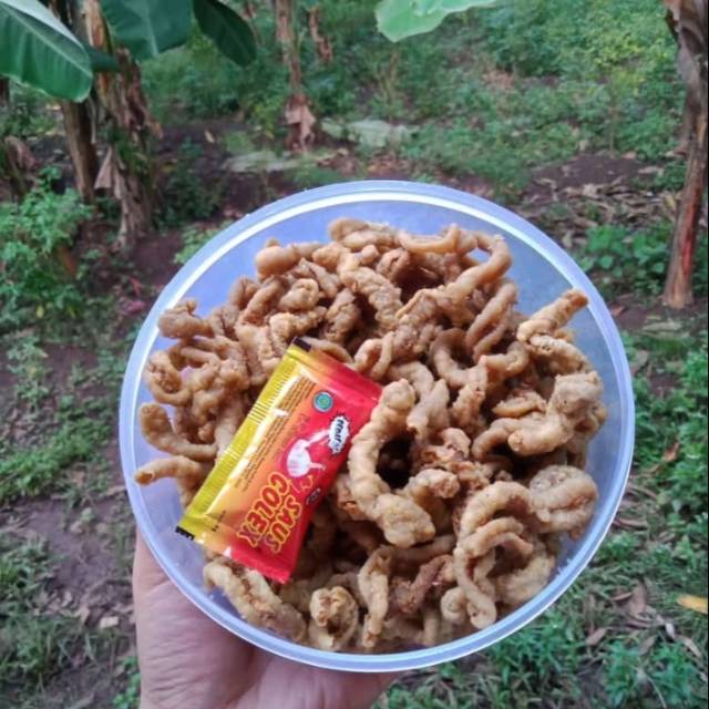 

Keripik Usus
