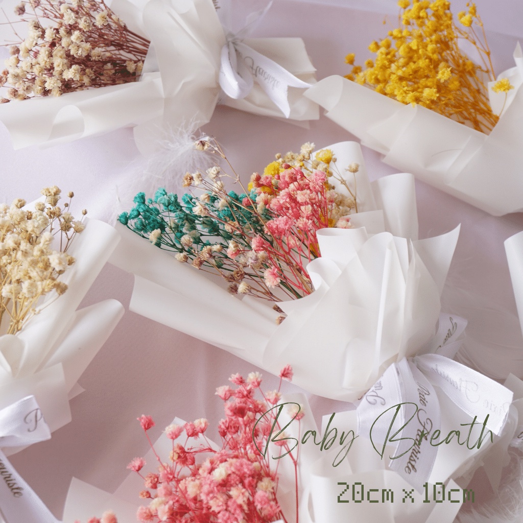 Petite Dried Flower Baby Breath Bouquet