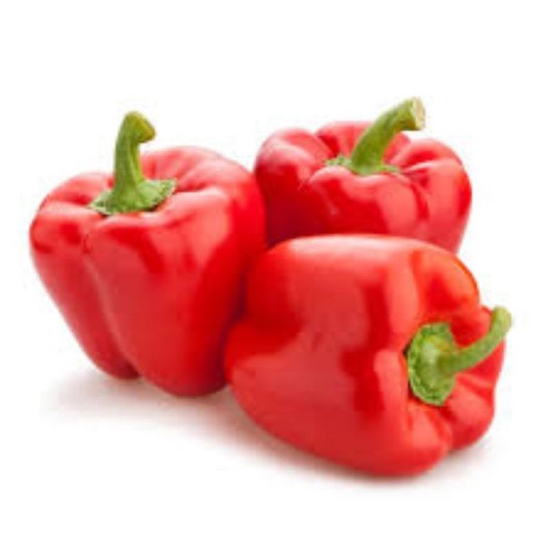 

pabrika merah 500 gr