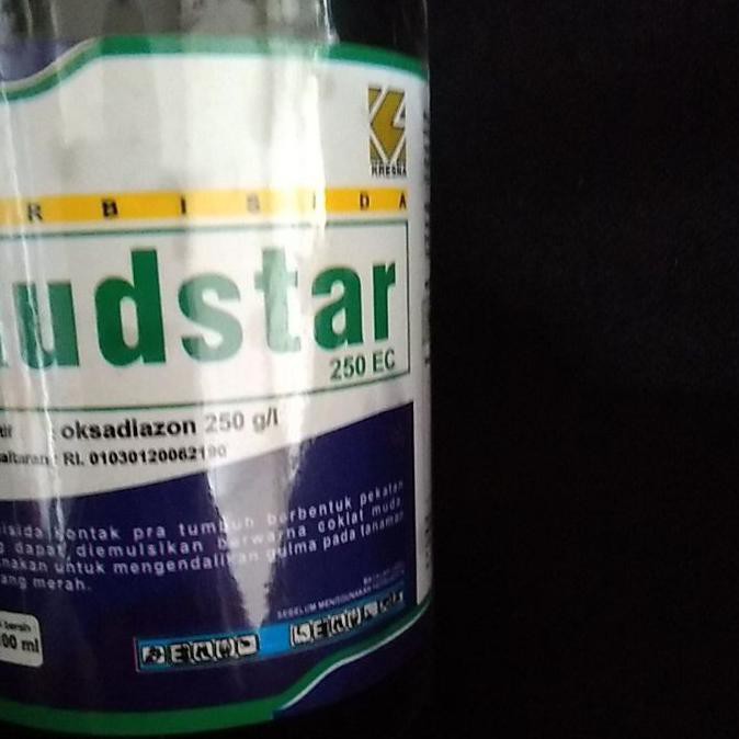 HOT PROMO RUDSTAR 250EC 100ML (꧆◡꧆๑)