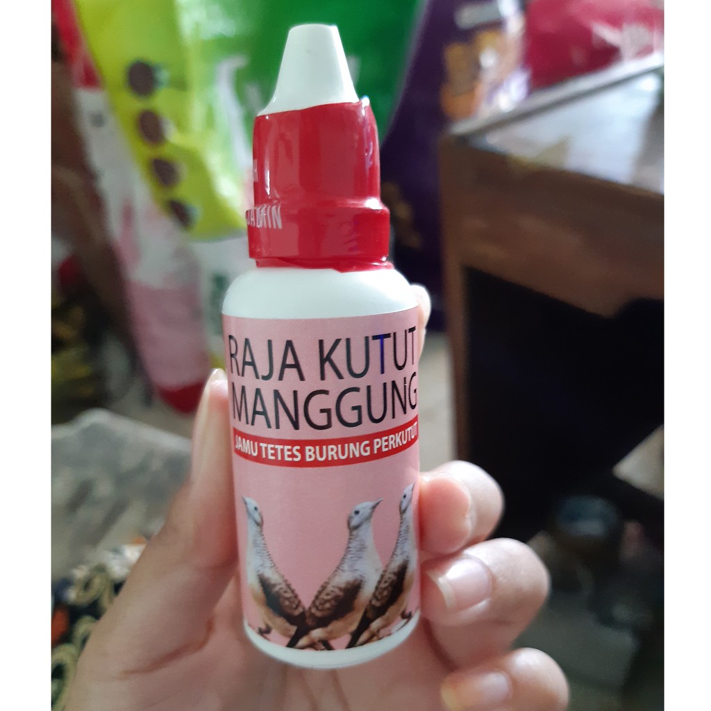 

Raja Kutut Manggung