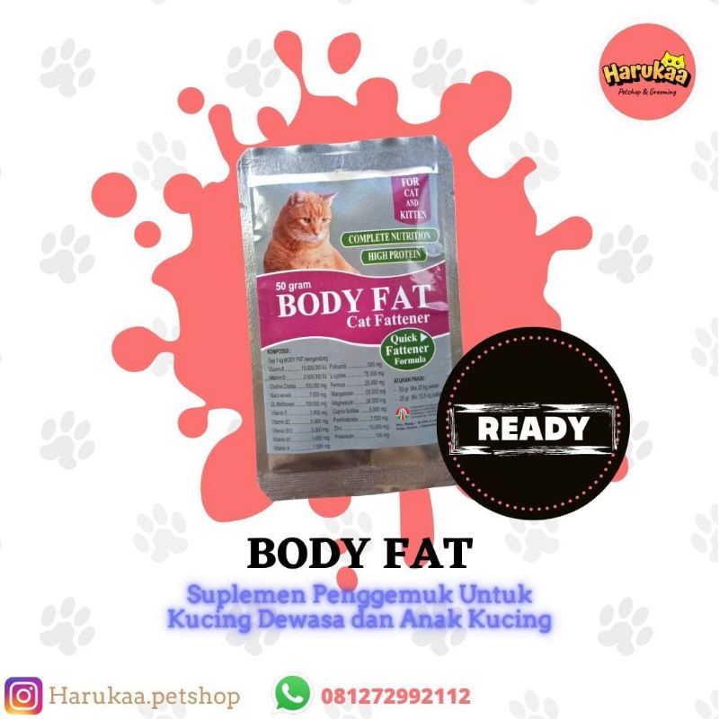 BODY FAT - PENGGEMUK KUCING