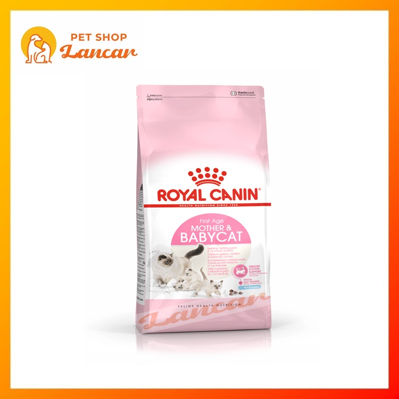 Royal Canin Mother &amp; Baby Cat 2Kg - Promo Price