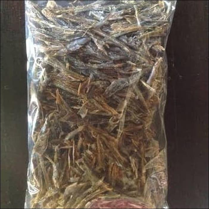 

Promo Terbatas - Ikan Roa Kupas 500 Gram
