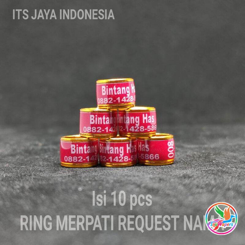 RING MERPATI CUSTOM NAMA  RING MERPATI REQUEST NAMA SENDIRI  RING MERPATI RODA STANDART PINK