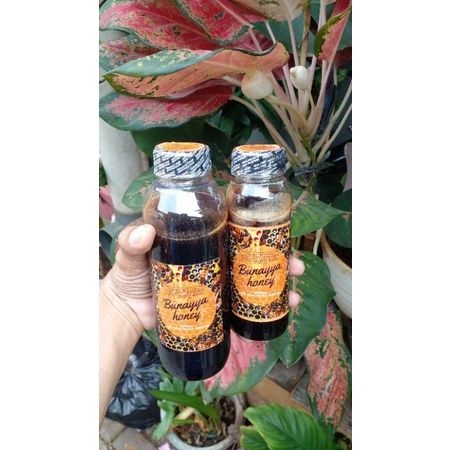 

Madu Asli Madu Murni Madu Hitam Jambi Nektar Akasia Crasicarva Bunayya Honey