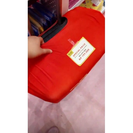 BT21 Luggage Cover 28