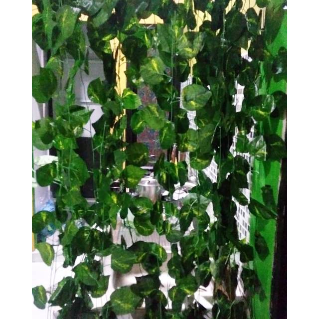 Tanaman Rambat Plastik Daun Srigading