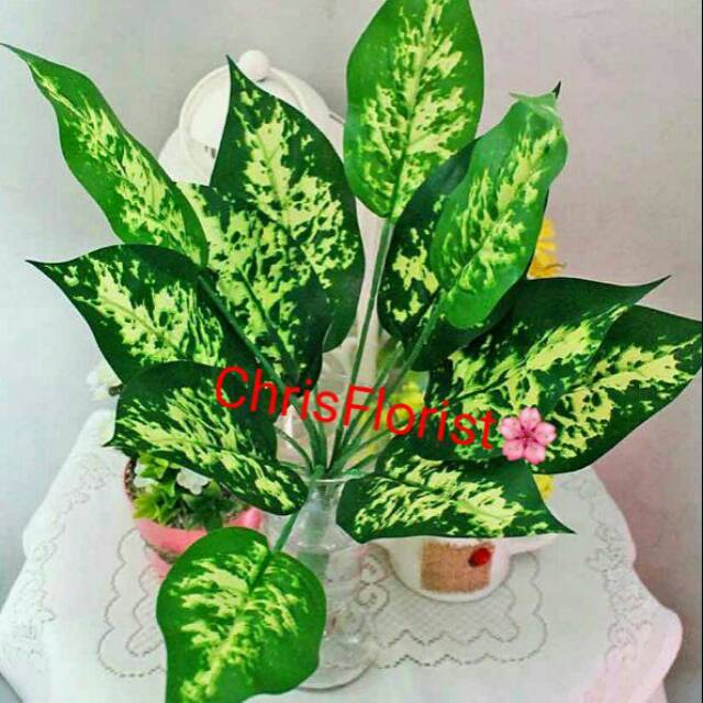 Daun Aglonema Plastik Palsu Buatan Plastic Sintetis Dekorasi Hiasan Artificial 02