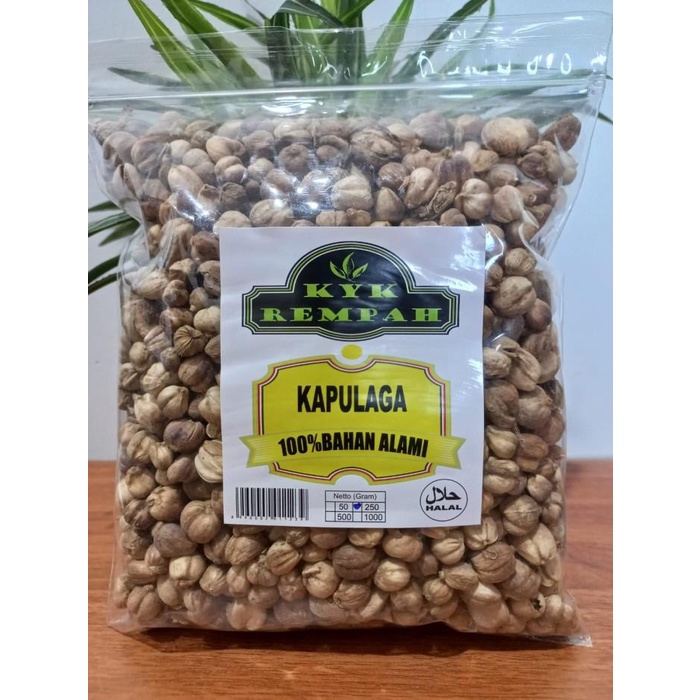 

Kapulaga Asli [ 250 Gram]