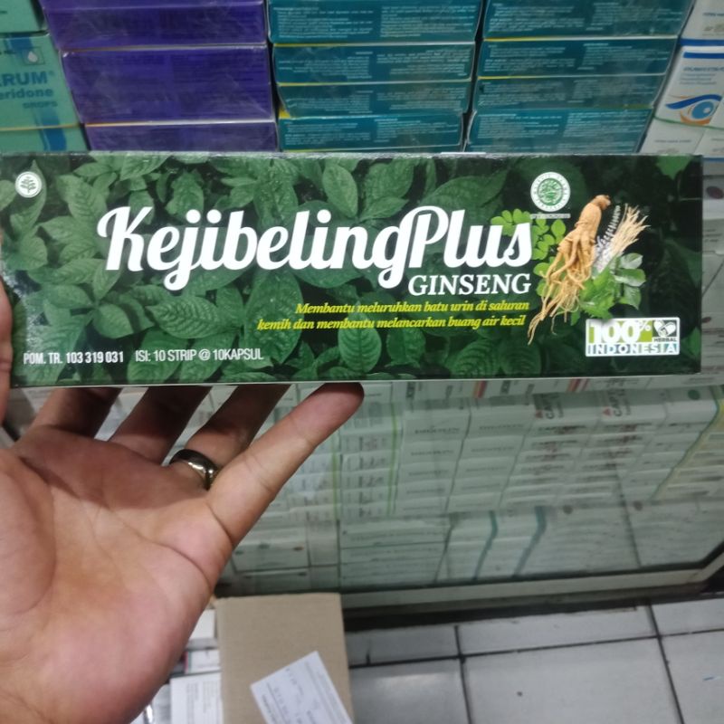KEJIBELING Plus Ginseng 100tablet