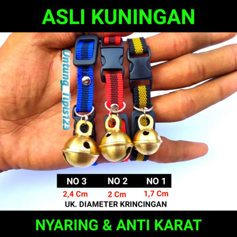 kalung katun lonceng kuningan premium kalung kucing  kelinci musang anjing kalung tali katun buat hewan