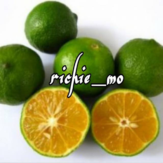 

Jeruk SONKIT Fresh 500 gr Sonkit Jeruk Katsuri/Lemon Cui/Jeruk Kunci