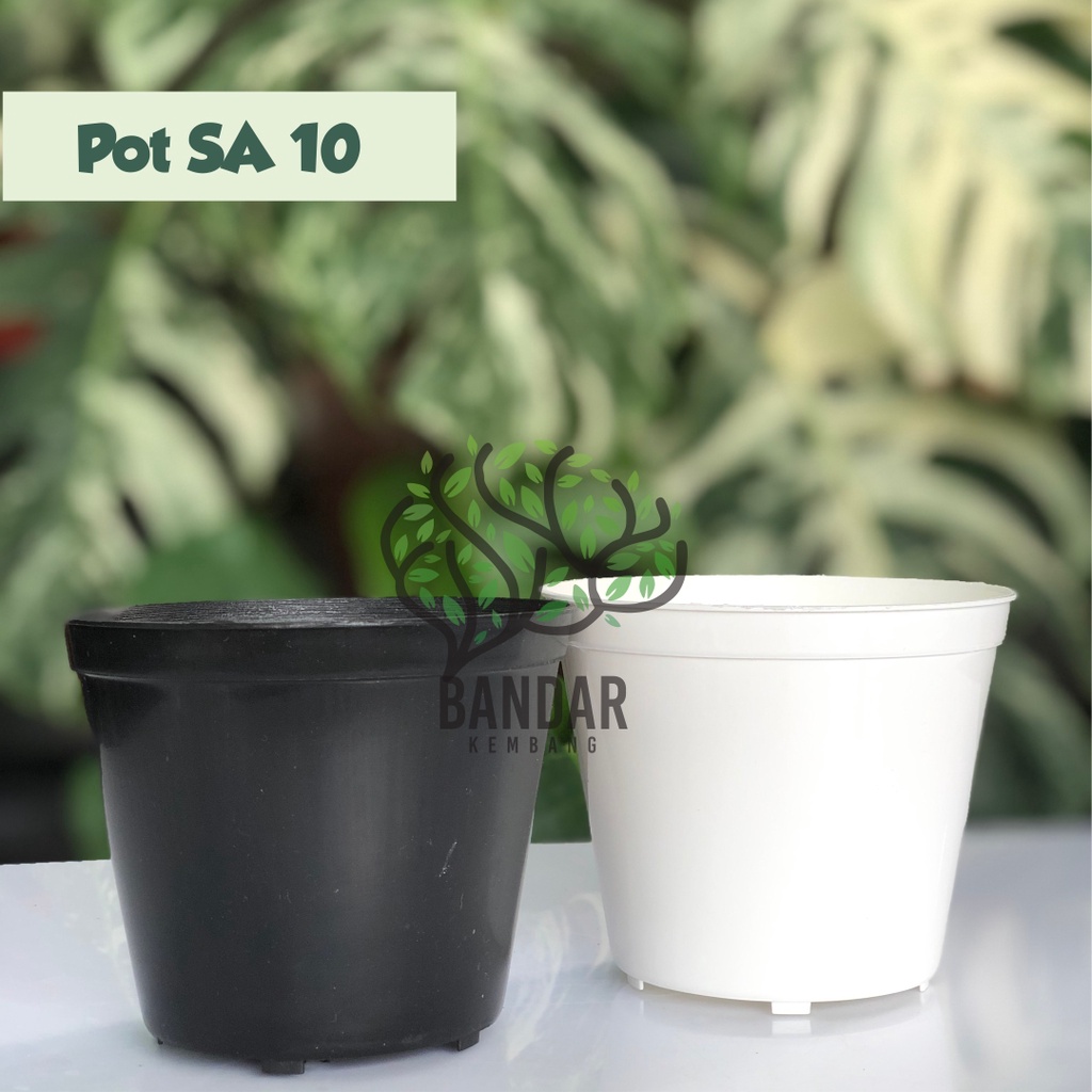Pot SA 10 Warna Hitam Putih Murah - Pot Bunga Kecil - Pot Plastik Terlaris - Pot Mini Tanaman Hias B