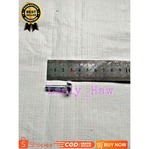 BAUT 10 PANJANG 2,5 CM