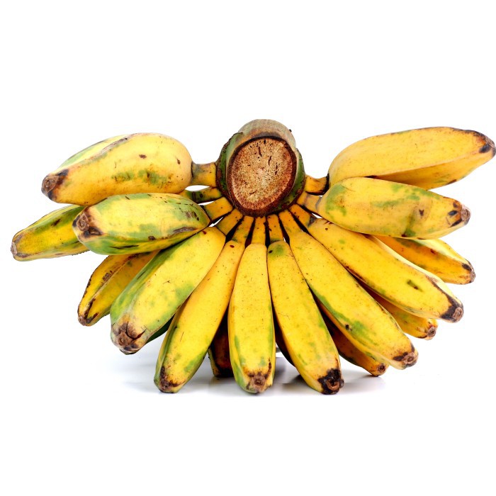 

Pisang Kepok Kuning
