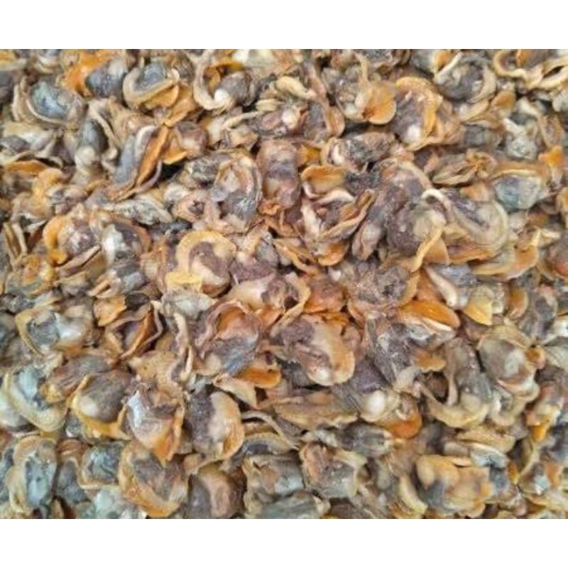 

KERANG KUPAS PER 250 GR SAYUR SEGAR PALEMBANG