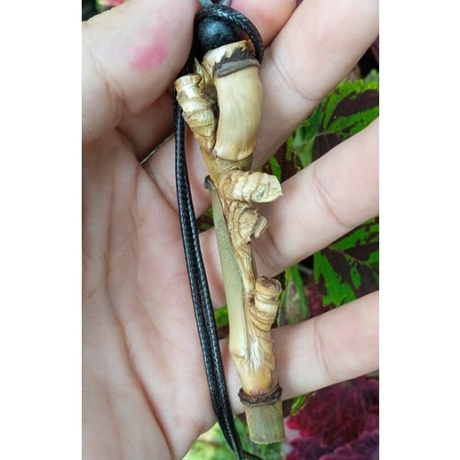 Bambu Petuk Asli unik petuk jalu tumpang rogo natural