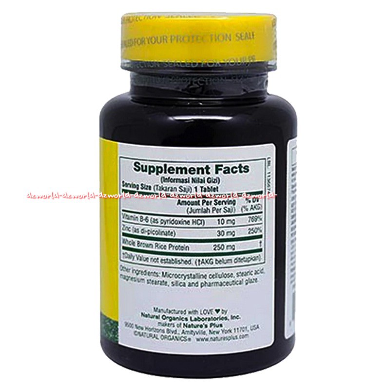 Natures Plus Zinc Picolinate 60tablet Vitamin B6 Untuk Daya Tahan Tubuh Nature's