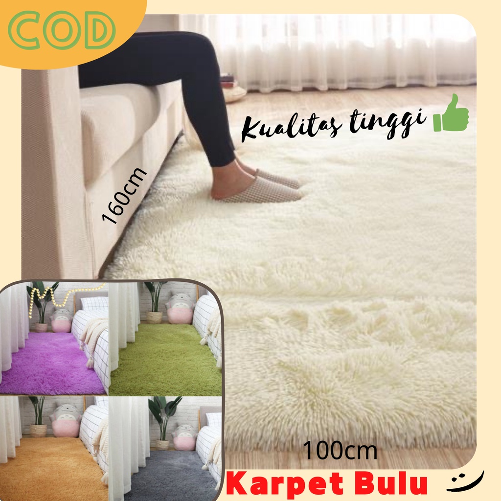karpet bulu/karpet bulu kamar tidur/160×100×5/karpet bulu rasfur/karpet bulu tebal/ambal bulu tebal/