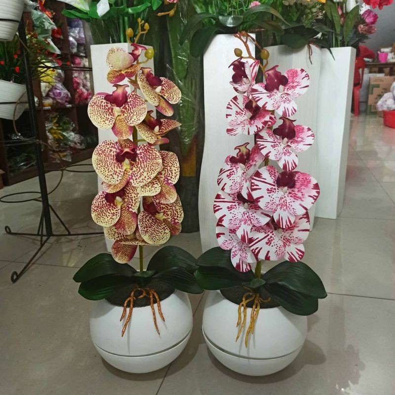 Anggrek Latex Vas Vienna