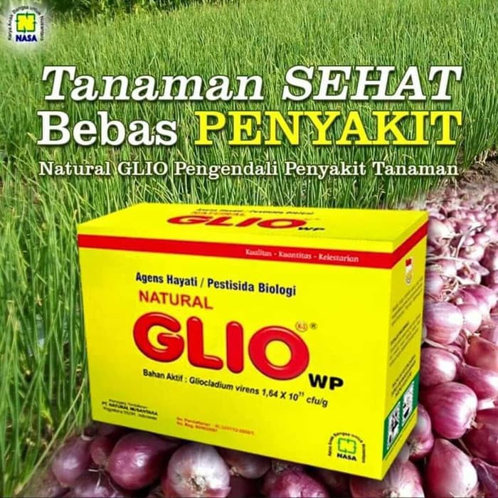 Promo NATURAL GLIO Pengendali Jamur Fusarium Penyebab Layu Tanaman 100 Gram /Fungisida Organik NASA / Obat Jamur Tanaman Hias / Obat Jamur Tanaman Buah / Obat Jamur Tanaman Cabe / Obat Jamur Akar Tanaman / Fusarium /Obat Jamur Akar Putih / Obat Layu