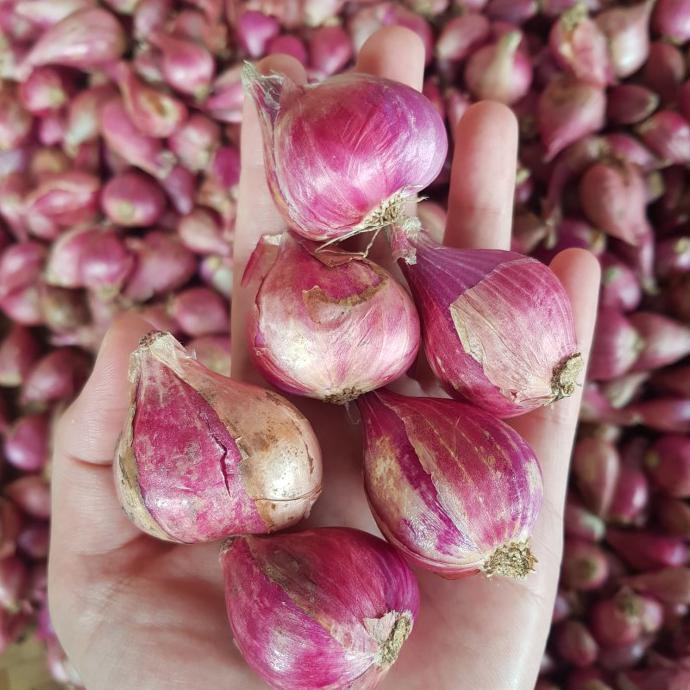 

Cuci Gudang Awal Tahun bawang merah super 1 kg Promo Awal tahun